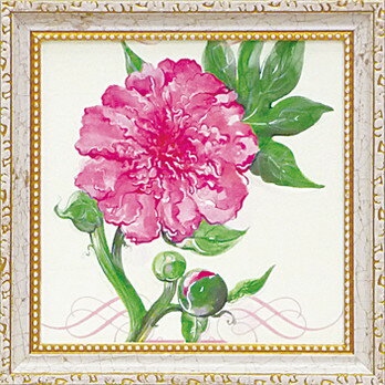 ߥ˥ ȥե졼 ޥͥå å ǥ ԥ ֥ ԥˡץߥ˥ ȥե졼 ޥͥå å ǥ ԥ ֥ ԥˡסڳڥ_ۡڳڥ_Τۡڳڥ_åϡۡYDKG-tdۡڱ_ݥ10ܡۡڱ_ۡڱ_ۡڱ_̵¡ۡڱ_Påס