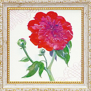 ߥ˥ ȥե졼 ޥͥå å ǥ ԥ ֥饺٥꡼ ԥˡץߥ˥ ȥե졼 ޥͥå å ǥ ԥ ֥饺٥꡼ ԥˡסڳڥ_ۡڳڥ_Τۡڳڥ_åϡۡYDKG-tdۡڱ_ݥ10ܡۡڱ_ۡڱ_ۡڱ_̵¡ۡڱ_Påס