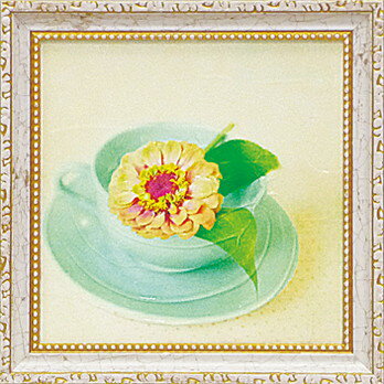 ߥ˥ ȥե졼 ޥǥ  ֥ƥåסץߥ˥ ȥե졼 ޥǥ  ֥ƥåססڳڥ_ۡڳڥ_Τۡڳڥ_åϡۡYDKG-tdۡڱ_ݥ10ܡۡڱ_ۡڱ_ۡڱ_̵¡ۡڱ_Påס