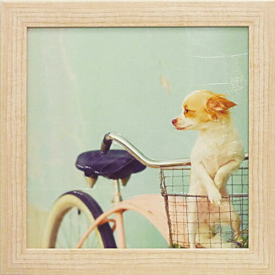 Գեޥǥ  ɥå  ХåȡԳեޥǥ  ɥå  Хåȡڳڥ_ۡڳڥ_Τۡڳڥ_åϡۡYDKG-tdۡڱ_ݥ10ܡۡڱ_ۡڱ_ۡڱ_̵¡ۡڱ_Påס