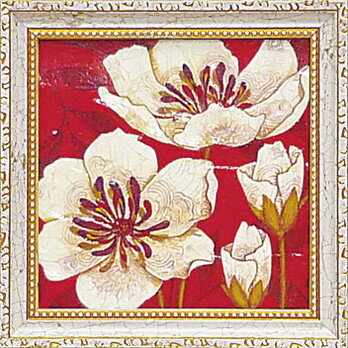 ߥ˥ ȥե졼 ޥͥå ͥ㡼쥯ȥ ֥ݥԡ2ץߥ˥ ȥե졼 ޥͥå ͥ㡼쥯ȥ ֥ݥԡ2סڳڥ_ۡڳڥ_Τۡڳڥ_åϡۡYDKG-tdۡڱ_ݥ10ܡۡڱ_ۡڱ_ۡڱ_̵¡ۡڱ_Påס