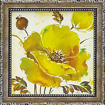 ߥ˥ ȥե졼 ޥͥå ͥ㡼쥯ȥ ֥եåݥԡץߥ˥ ȥե졼 ޥͥå ͥ㡼쥯ȥ ֥եåݥԡסڳڥ_ۡڳڥ_Τۡڳڥ_åϡۡYDKG-tdۡڱ_ݥ10ܡۡڱ_ۡڱ_ۡڱ_̵¡ۡڱ_Påס