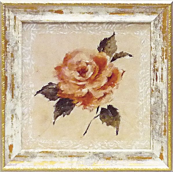 ߥ˥ ȥե졼 롼ɥ顦 ֥ 1ץߥ˥ ȥե졼 롼ɥ顦 ֥ 1סڳڥ_ۡڳڥ_Τۡڳڥ_åϡۡYDKG-tdۡڱ_ݥ10ܡۡڱ_ۡڱ_ۡڱ_̵¡ۡڱ_Påס