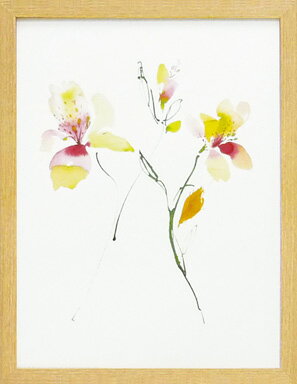 Գեޡ ȥ ֤ӤԳեޡ ȥ ֤Ӥڳڥ_ۡڳڥ_Τۡڳڥ_åϡۡYDKG-tdۡڱ_ݥ10ܡۡڱ_ۡڱ_ۡڱ_̵¡ۡڱ_Påס