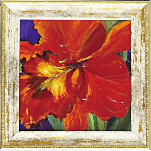 ߥ˥ ȥե졼 ޥͥå ƥ顼 ֥ѡץץߥ˥ ȥե졼 ޥͥå ƥ顼 ֥ѡץסڳڥ_ۡڳڥ_Τۡڳڥ_åϡۡYDKG-tdۡڱ_ݥ10ܡۡڱ_ۡڱ_ۡڱ_̵¡ۡڱ_Påס