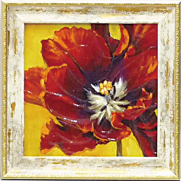 ߥ˥ ȥե졼 ޥͥå ƥ顼 ֥ץߥ˥ ȥե졼 ޥͥå ƥ顼 ֥סڳڥ_ۡڳڥ_Τۡڳڥ_åϡۡYDKG-tdۡڱ_ݥ10ܡۡڱ_ۡڱ_ۡڱ_̵¡ۡڱ_Påס