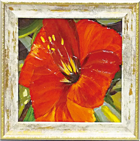 ߥ˥ ȥե졼 ƥ顼 ֥꡼ץߥ˥ ȥե졼 ƥ顼 ֥꡼סڳڥ_ۡڳڥ_Τۡڳڥ_åϡۡYDKG-tdۡڱ_ݥ10ܡۡڱ_ۡڱ_ۡڱ_̵¡ۡڱ_Påס