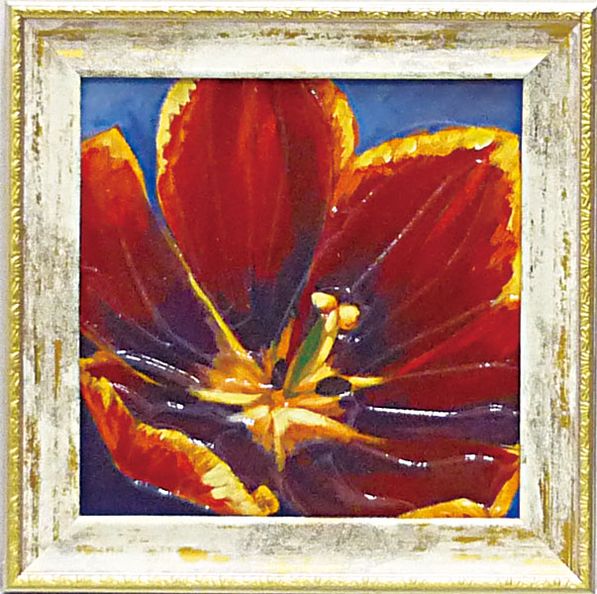 ߥ˥ ȥե졼 ֥֥롼ץߥ˥ ȥե졼 ֥֥롼סڳڥ_ۡڳڥ_Τۡڳڥ_åϡۡYDKG-tdۡڱ_ݥ10ܡۡڱ_ۡڱ_ۡڱ_̵¡ۡڱ_Påס