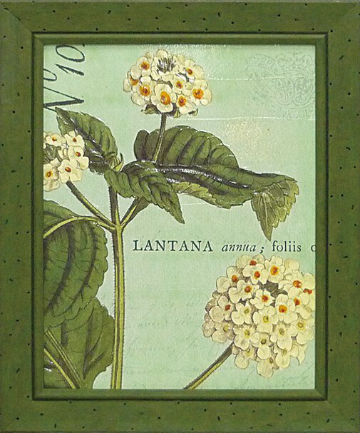 Գե磻ɥåץ륹 ܥˡ ֥롼1Գե磻ɥåץ륹 ܥˡ ֥롼1ڳڥ_ۡڳڥ_Τۡڳڥ_åϡۡYDKG-tdۡڱ_ݥ10ܡۡڱ_ۡڱ_ۡڱ_̵¡ۡڱ_Påס