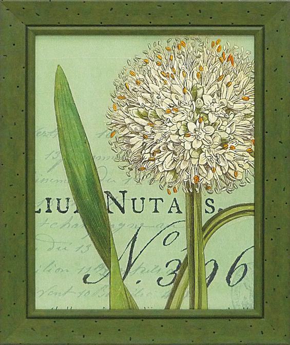 Գե磻ɥåץ륹 ܥˡ ֥롼2Գե磻ɥåץ륹 ܥˡ ֥롼2ڳڥ_ۡڳڥ_Τۡڳڥ_åϡۡYDKG-tdۡڱ_ݥ10ܡۡڱ_ۡڱ_ۡڱ_̵¡ۡڱ_Påס