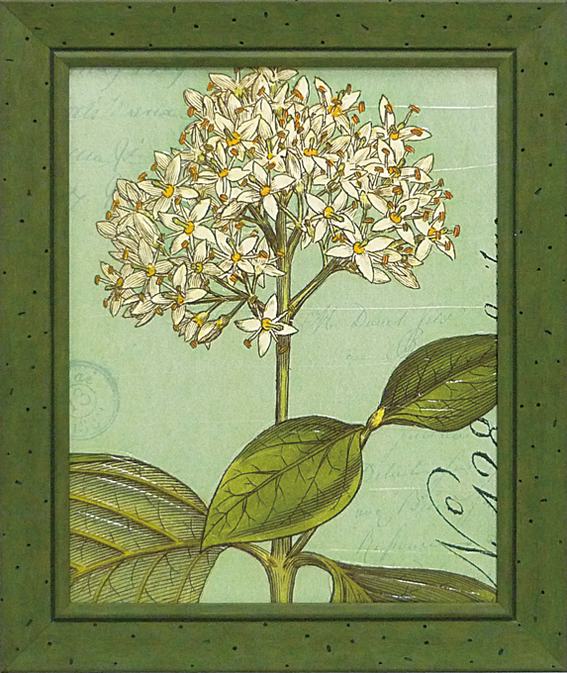 Գե磻ɥåץ륹 ܥˡ ֥롼4Գե磻ɥåץ륹 ܥˡ ֥롼4ڳڥ_ۡڳڥ_Τۡڳڥ_åϡۡYDKG-tdۡڱ_ݥ10ܡۡڱ_ۡڱ_ۡڱ_̵¡ۡڱ_Påס