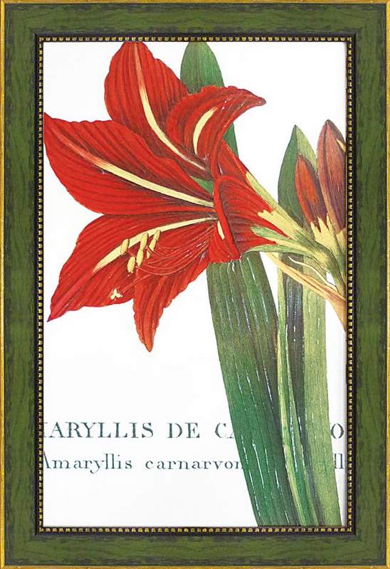 Գե磻ɥåץ륹 ܥˡ1Գե磻ɥåץ륹 ܥˡ1 ڳڥ_ۡڳڥ_Τۡڳڥ_åϡۡYDKG-tdۡڱ_ݥ10ܡۡڱ_ۡڱ_ۡڱ_̵¡ۡڱ_Påסۡsmtb-TDۡsaitamaۡڱ_̵