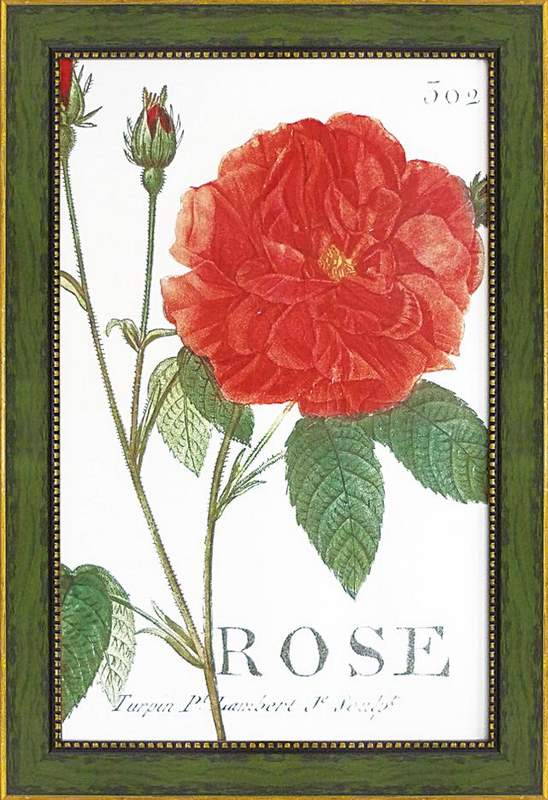 Գե磻ɥåץ륹 ԥ󥯥Գե磻ɥåץ륹 ԥ󥯥 ڳڥ_ۡڳڥ_Τۡڳڥ_åϡۡYDKG-tdۡڱ_ݥ10ܡۡڱ_ۡڱ_ۡڱ_̵¡ۡڱ_Påסۡsmtb-TDۡsaitamaۡڱ_̵