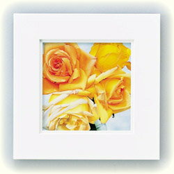 Գեˡ Сɥå СԳեˡ Сɥå Сڳڥ_ۡڳڥ_Τۡڳڥ_åϡۡYDKG-tdۡڱ_ݥ10ܡۡڱ_ۡڱ_ۡڱ_̵¡ۡڱ_Påס