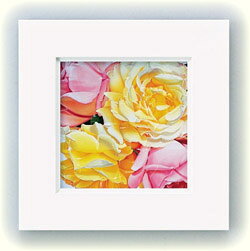 Գեˡ Сɥå ԡԳեˡ Сɥå ԡڳڥ_ۡڳڥ_Τۡڳڥ_åϡۡYDKG-tdۡڱ_ݥ10ܡۡڱ_ۡڱ_ۡڱ_̵¡ۡڱ_Påס