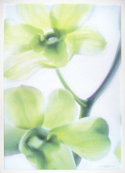 ԥȥե졼եޥ꡼ ԡ᥸㡼ޥ󥪡åɡɥޥ1ԥȥե졼եޥ꡼ ԡ᥸㡼ޥ󥪡åɡɥޥ1 ڳڥ_ۡڳڥ_Τۡڳڥ_åϡۡYDKG-tdۡڱ_ݥ10ܡۡsmtb-TDۡsaitama