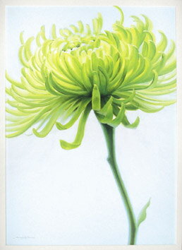 ԥȥե졼եޥ꡼ ԡ᥸㡼ޥ󥪥꡼֥ԥȥե졼եޥ꡼ ԡ᥸㡼ޥ󥪥꡼֥ ڳڥ_ۡڳڥ_Τۡڳڥ_åϡۡYDKG-tdۡڱ_ݥ10ܡۡڱ_ۡڱ_ۡڱ_̵¡ۡڱ_Påסۡsmtb-TDۡsaitamaۡڱ_̵