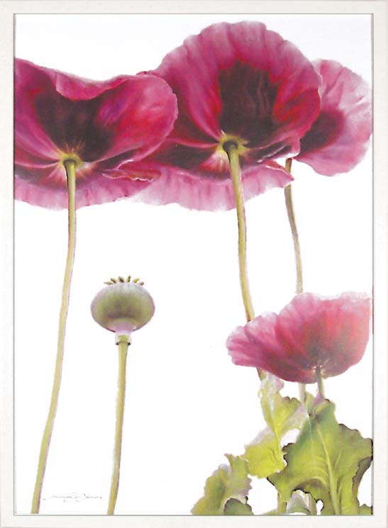 ԥȥե졼եޥ꡼ ԡ᥸㡼ޥѡץ ݥԡԥȥե졼եޥ꡼ ԡ᥸㡼ޥѡץ ݥԡ ڳڥ_ۡڳڥ_Τۡڳڥ_åϡۡYDKG-tdۡڱ_ݥ10ܡۡڱ_ۡڱ_ۡڱ_̵¡ۡڱ_Påסۡsmtb-TDۡsaitamaۡڱ_̵