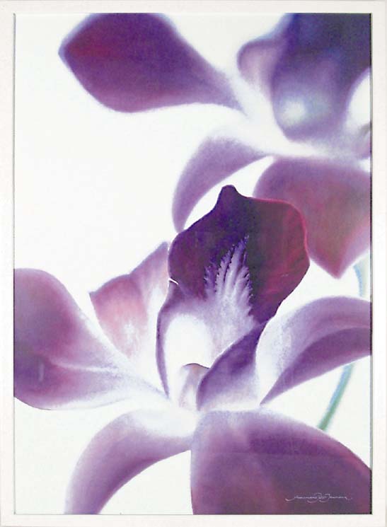 ԥȥե졼եޥ꡼ ԡ᥸㡼ޥѡץ åɡԥȥե졼եޥ꡼ ԡ᥸㡼ޥѡץ å ڳڥ_ۡڳڥ_Τۡڳڥ_åϡۡYDKG-tdۡڱ_ݥ10ܡۡڱ_ۡڱ_ۡڱ_̵¡ۡڱ_Påסۡsmtb-TDۡsaitamaۡڱ_̵