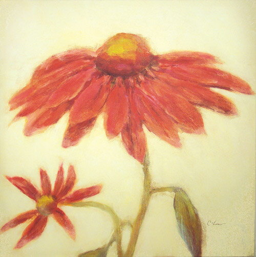 ԳեХ 쥯 쥤䡼 ʡ֥ե󡦥ǥסԳեХ 쥯 쥤䡼 ʡ֥ե󡦥ǥ ڳڥ_ۡڳڥ_Τۡڳڥ_åϡۡYDKG-tdۡڱ_ݥ10ܡۡsmtb-TDۡsaitama