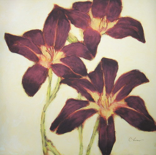 ԳեХ 쥯 쥤䡼 ʡ֥ե塼㡦ȥꥪסԳեХ 쥯 쥤䡼 ʡ֥ե塼㡦ȥꥪ ڳڥ_ۡڳڥ_Τۡڳڥ_åϡۡYDKG-tdۡڱ_ݥ10ܡۡsmtb-TDۡsaitama