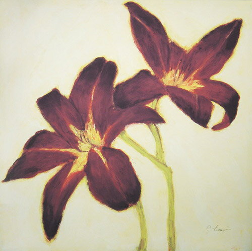 ԳեХ 쥯 쥤䡼 ʡ֥ե塼㡦֥롼סԳեХ 쥯 쥤䡼 ʡ֥ե塼㡦֥롼 ڳڥ_ۡڳڥ_Τۡڳڥ_åϡۡYDKG-tdۡڱ_ݥ10ܡۡsmtb-TDۡsaitama