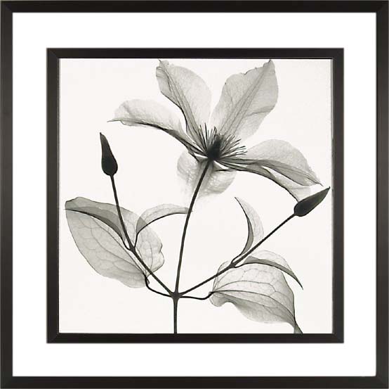 ԥȥե졼եꥢ ե졼ߥ L ɥ ǥ塼ǥܥƥ֥ޥƥסԥȥե졼եꥢ ե졼ߥ L ɥ ǥ塼ǥܥƥ֥ޥƥסڳڥ_ۡڳڥ_Τۡڳڥ_åϡۡYDKG-tdۡڱ_ݥ10ܡۡsmtb-TDۡsaitama