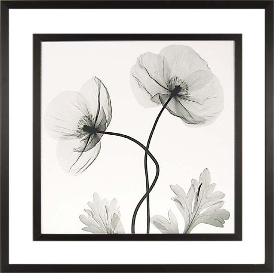 ԥȥե졼եꥢ ե졼ߥ L ɥ ǥ塼ǥܥƥ֥ݥԡסԥȥե졼եꥢ ե졼ߥ L ɥ ǥ塼ǥܥƥ֥ݥԡסڳڥ_ۡڳڥ_Τۡڳڥ_åϡۡYDKG-tdۡڱ_ݥ10ܡۡsmtb-TDۡsaitama