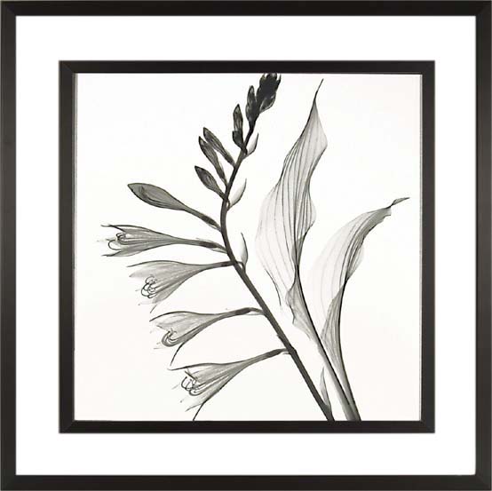 ԥȥե졼եꥢ ե졼ߥ L ɥ ǥ塼ǥܥƥ֥ۥסԥȥե졼եꥢ ե졼ߥ L ɥ ǥ塼ǥܥƥ֥ۥסڳڥ_ۡڳڥ_Τۡڳڥ_åϡۡYDKG-tdۡڱ_ݥ10ܡۡsmtb-TDۡsaitama