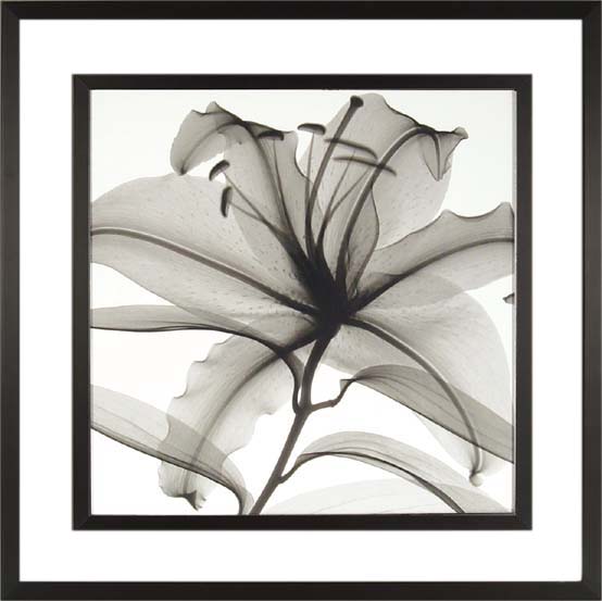 ԥȥե졼եꥢ ե졼ߥ L ɥ ǥ塼ǥܥƥ֥꡼סԥȥե졼եꥢ ե졼ߥ L ɥ ǥ塼ǥܥƥ֥꡼סڳڥ_ۡڳڥ_Τۡڳڥ_åϡۡYDKG-tdۡڱ_ݥ10ܡۡsmtb-TDۡsaitama