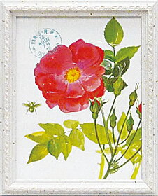 Գեå ǥ ԥ 磻ɥԳեå ǥ ԥ 磻ɥڳڥ_ۡڳڥ_Τۡڳڥ_åϡۡYDKG-tdۡڱ_ݥ10ܡۡڱ_ۡڱ_ۡڱ_̵¡ۡڱ_Påס