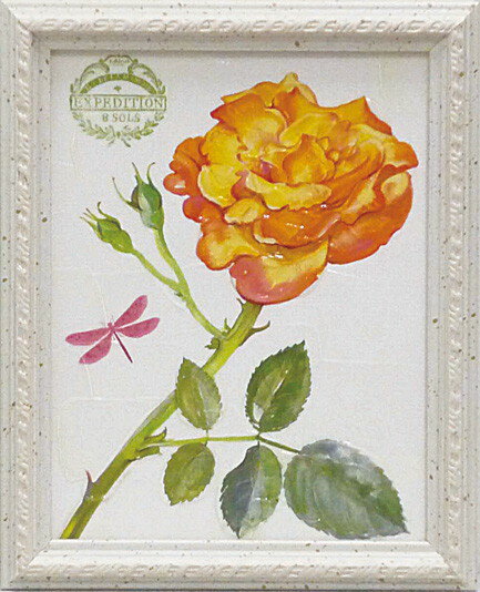 Գեå ǥ ԥ ƥԳեå ǥ ԥ ƥڳڥ_ۡڳڥ_Τۡڳڥ_åϡۡYDKG-tdۡڱ_ݥ10ܡۡڱ_ۡڱ_ۡڱ_̵¡ۡڱ_Påס