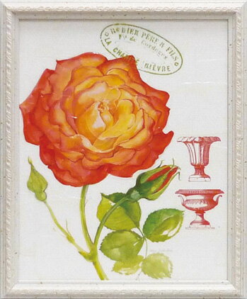 Գեå ǥ ԥ ɥեԳեå ǥ ԥ ɥեڳڥ_ۡڳڥ_Τۡڳڥ_åϡۡYDKG-tdۡڱ_ݥ10ܡۡڱ_ۡڱ_ۡڱ_̵¡ۡڱ_Påס