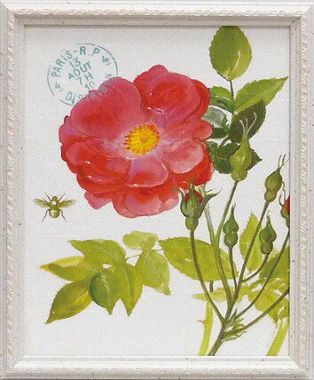 Գեå ǥ ԥ 磻ɥԳեå ǥ ԥ 磻ɥڳڥ_ۡڳڥ_Τۡڳڥ_åϡۡYDKG-tdۡڱ_ݥ10ܡۡڱ_ۡڱ_ۡڱ_̵¡ۡڱ_Påס