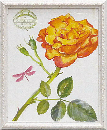 Գեå ǥ ԥ ƥԳեå ǥ ԥ ƥڳڥ_ۡڳڥ_Τۡڳڥ_åϡۡYDKG-tdۡڱ_ݥ10ܡۡڱ_ۡڱ_ۡڱ_̵¡ۡڱ_Påס