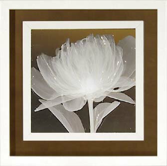 ԥȥե졼եå ե졼ߥ S ե Υɡ֥꡼1סԥȥե졼եå ե졼ߥ S ե Υɡ֥꡼1סڳڥ_ۡڳڥ_Τۡڳڥ_åϡۡYDKG-tdۡڱ_ݥ10ܡۡڱ_ۡڱ_ۡڱ_̵¡ۡڱ_Påס