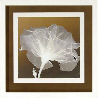 ԥȥե졼եå ե졼ߥ S ե Υɡ֥꡼2סԥȥե졼եå ե졼ߥ S ե Υɡ֥꡼2סڳڥ_ۡڳڥ_Τۡڳڥ_åϡۡYDKG-tdۡڱ_ݥ10ܡۡڱ_ۡڱ_ۡڱ_̵¡ۡڱ_Påס