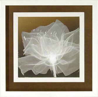 ԥȥե졼եå ե졼ߥ S ե Υɡ֥꡼3סԥȥե졼եå ե졼ߥ S ե Υɡ֥꡼3סڳڥ_ۡڳڥ_Τۡڳڥ_åϡۡYDKG-tdۡڱ_ݥ10ܡۡڱ_ۡڱ_ۡڱ_̵¡ۡڱ_Påס