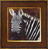 Գեեӡ åƥ ֥Գեեӡ åƥ ֥ ڳڥ_ۡڳڥ_Τۡڳڥ_åϡۡYDKG-tdۡڱ_ݥ10ܡۡڱ_ۡڱ_ۡڱ_̵¡ۡڱ_Påס