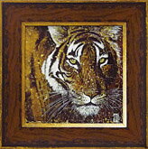 Գեեӡ åƥ Գեեӡ åƥ  ڳڥ_ۡڳڥ_Τۡڳڥ_åϡۡYDKG-tdۡڱ_ݥ10ܡۡڱ_ۡڱ_ۡڱ_̵¡ۡڱ_Påס