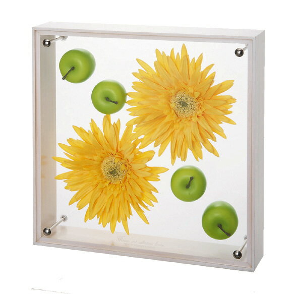 ԥեե졼եե 쥯ܥå L٥åץԥեե졼եե 쥯ܥå L٥åץڳڥ_ۡڳڥ_Τۡڳڥ_åϡۡYDKG-tdۡڱ_ݥ10ܡۡڱ_ۡڱ_ۡڱ_̵¡ۡڱ_Påס