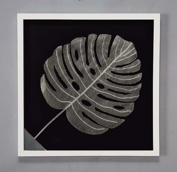 ե롼  ӥ塼 󥹥ƥLۥ磻ȥե졼ե롼  ӥ塼 󥹥ƥLۥ磻ȥե졼 ڳڥ_ۡڳڥ_Τۡڳڥ_åϡۡYDKG-tdۡڱ_ݥ10ܡۡڱ_ۡڱ_ۡڱ_̵¡ۡڱ_Påסۡsmtb-TDۡsaitamaۡڱ_̵