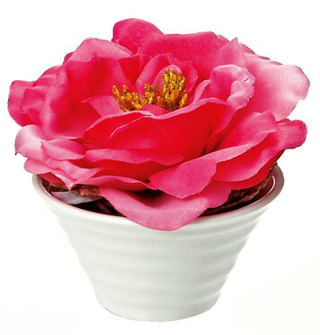 ¤֡ӡեꥨƥ֥ե (ԥ)¤֡ӡեꥨƥ֥ե (ԥ)ڳڥ_ۡڳڥ_Τۡڳڥ_åϡۡYDKG-tdۡڱ_ݥ10ܡۡڱ_ۡڱ_ۡڱ_̵¡ۡڱ_Påס