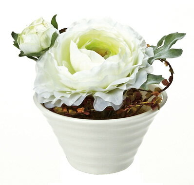 ¤֡ӡեꥨƥ֥ե ʥ󥭥饹(ۥ磻)¤֡ӡեꥨƥ֥ե ʥ󥭥饹(ۥ磻)ڳڥ_ۡڳڥ_Τۡڳڥ_åϡۡYDKG-tdۡڱ_ݥ10ܡۡڱ_ۡڱ_ۡڱ_̵¡ۡڱ_Påס