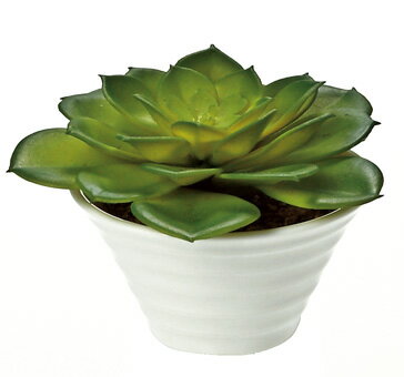 ¤֡ӡեꥨƥ֥ե ٥ꥢ쥬(꡼)¤֡ӡեꥨƥ֥ե ٥ꥢ쥬(꡼)ڳڥ_ۡڳڥ_Τۡڳڥ_åϡۡYDKG-tdۡڱ_ݥ10ܡۡڱ_ۡڱ_ۡڱ_̵¡ۡڱ_Påס