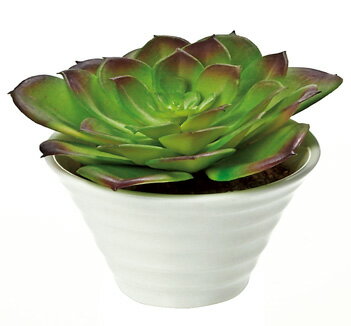 ¤֡ӡեꥨƥ֥ե ٥ꥢϥॷ(ѡץ)¤֡ӡեꥨƥ֥ե ٥ꥢϥॷ(ѡץ)ڳڥ_ۡڳڥ_Τۡڳڥ_åϡۡYDKG-tdۡڱ_ݥ10ܡۡڱ_ۡڱ_ۡڱ_̵¡ۡڱ_Påס