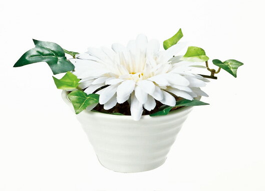 ¤֡ӡեꥨƥ֥ե ٥(ۥ磻)¤֡ӡեꥨƥ֥ե ٥(ۥ磻)ڳڥ_ۡڳڥ_Τۡڳڥ_åϡۡYDKG-tdۡڱ_ݥ10ܡۡڱ_ۡڱ_ۡڱ_̵¡ۡڱ_Påס