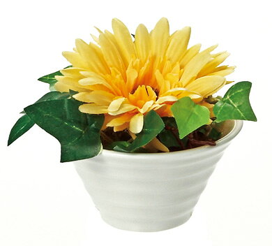 ¤֡ӡեꥨƥ֥ե ٥()¤֡ӡեꥨƥ֥ե ٥()ڳڥ_ۡڳڥ_Τۡڳڥ_åϡۡYDKG-tdۡڱ_ݥ10ܡۡڱ_ۡڱ_ۡڱ_̵¡ۡڱ_Påס