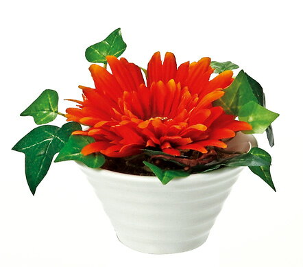 ¤֡ӡեꥨƥ֥ե ٥()¤֡ӡեꥨƥ֥ե ٥()ڳڥ_ۡڳڥ_Τۡڳڥ_åϡۡYDKG-tdۡڱ_ݥ10ܡۡڱ_ۡڱ_ۡڱ_̵¡ۡڱ_Påס