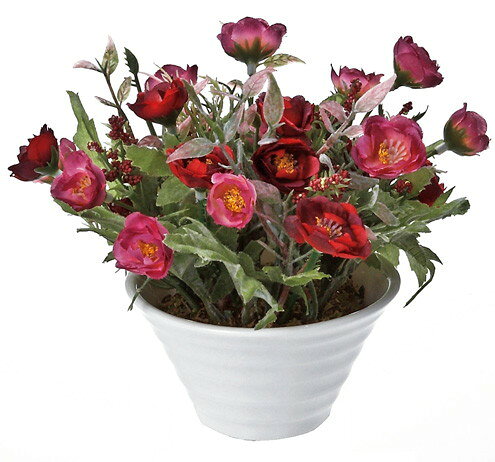 ¤֡ӡեꥨƥ֥ե ߥ˥(磻å)¤֡ӡեꥨƥ֥ե ߥ˥(磻å)ڳڥ_ۡڳڥ_Τۡڳڥ_åϡۡYDKG-tdۡڱ_ݥ10ܡۡڱ_ۡڱ_ۡڱ_̵¡ۡڱ_Påס